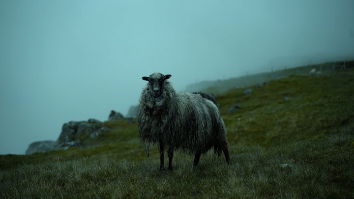 Somewhere in Faroe Islands w/ Aris Katsigiannis -