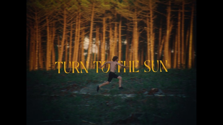 TRAVO - Turn to the Sun