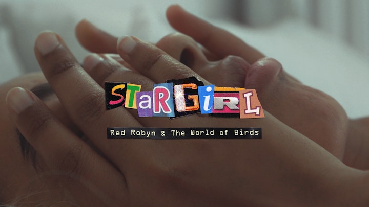 Red Robyn &The World of Birds 'Stargirl' / Music Video / Edit,Colour - 