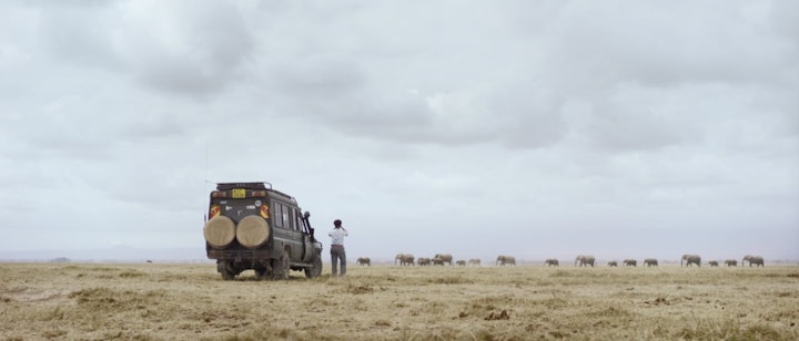 Amarula 'Made from Africa' / Ad / Edit, vfx