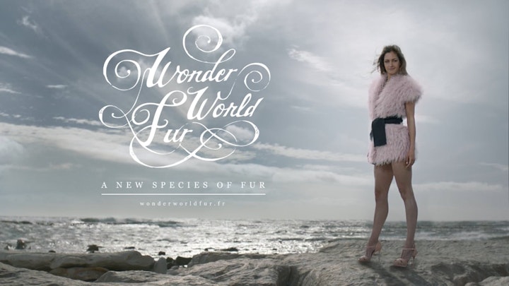 WWF Wonder World FuR "bamboseal"