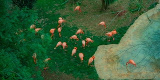 Lisbon Zoo