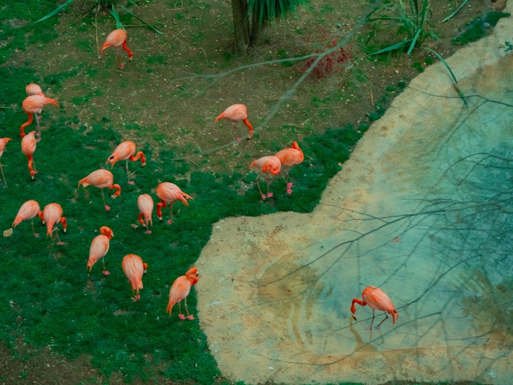 Lisbon Zoo