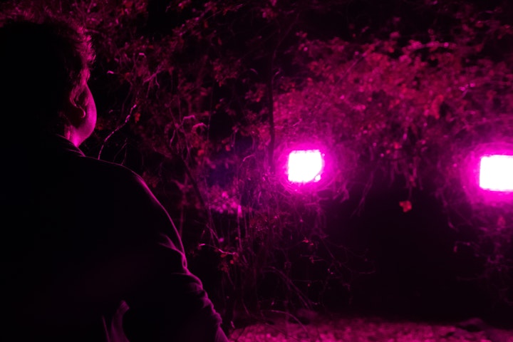 DSC0096000000000000 -