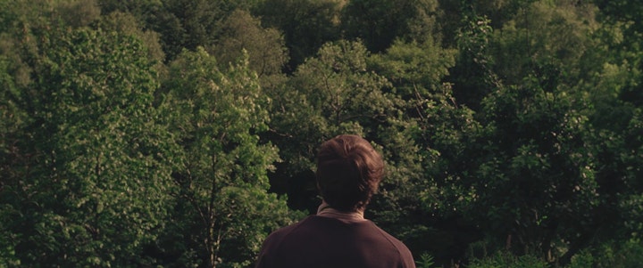 COME OUT OF THE WOODS