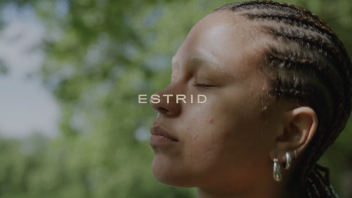 Estrid: 5 Year Anniversary