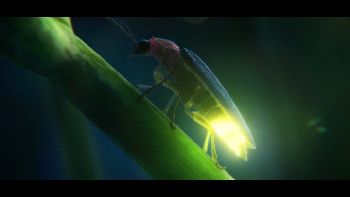 RANGE ROVER - 'Fireflies'