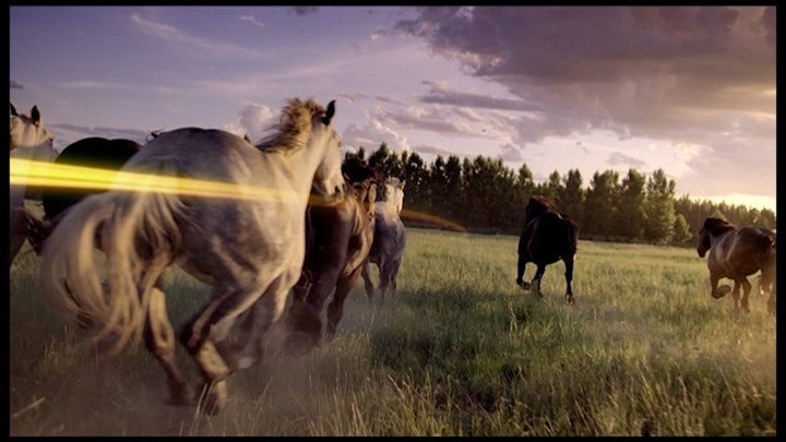 NESCAFE - Back to Nature