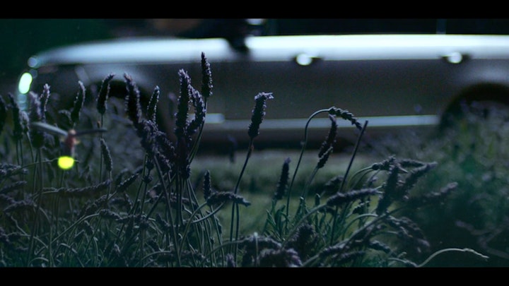 RANGE ROVER SV - 'Fireflies'