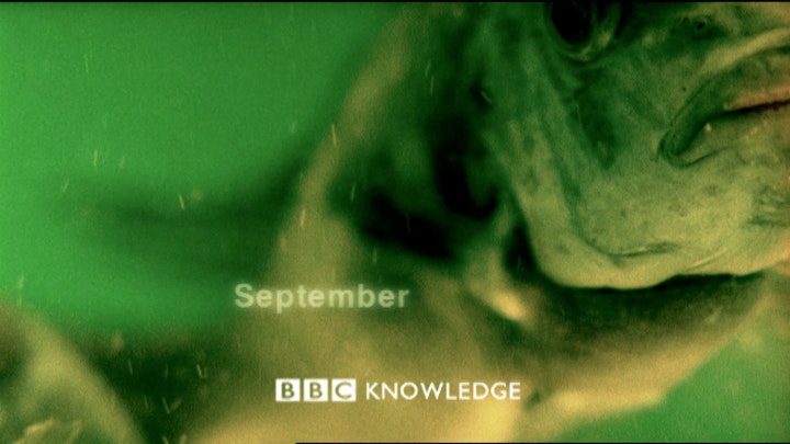 BBC KNOWLEDGE IDENT