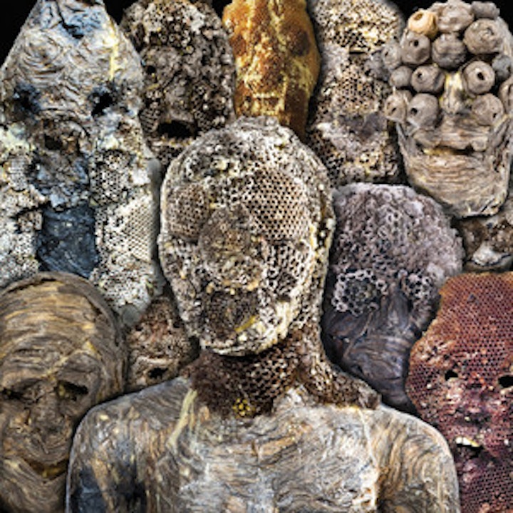 SHADOW SWAMPS (2022)