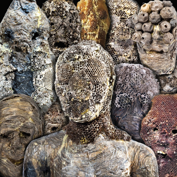 SHADOW SWAMPS (2022)