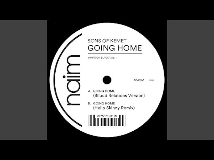 BLLUDD RELATIONS (2013)