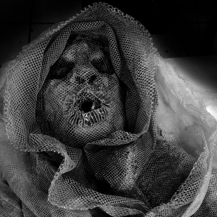 THE LIZARDS GARDEN (2018)