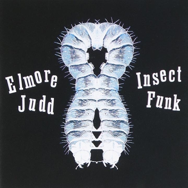 INSECT FUNK (2008)
