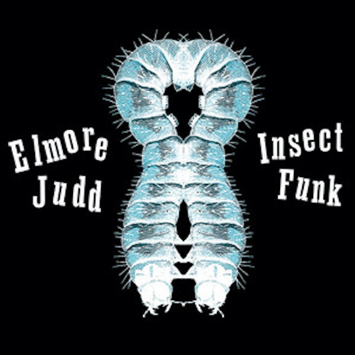 INSECT FUNK (2008)