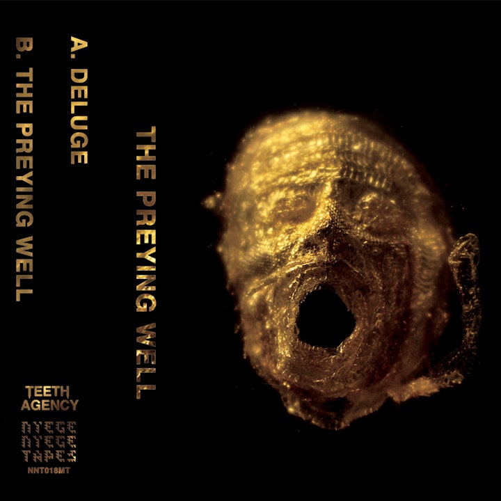 THE PREYING WELL (2020)