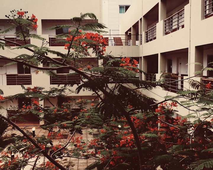 HipstamaticPhoto-565981247.287736