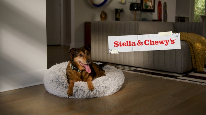 Buckaroo - Stella & Chewy's - Delivery
