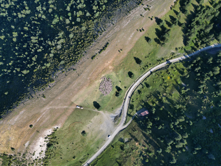 Drone