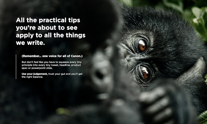 Alexander Skeith - Screenshot 2023-09-14 at 00.50.03