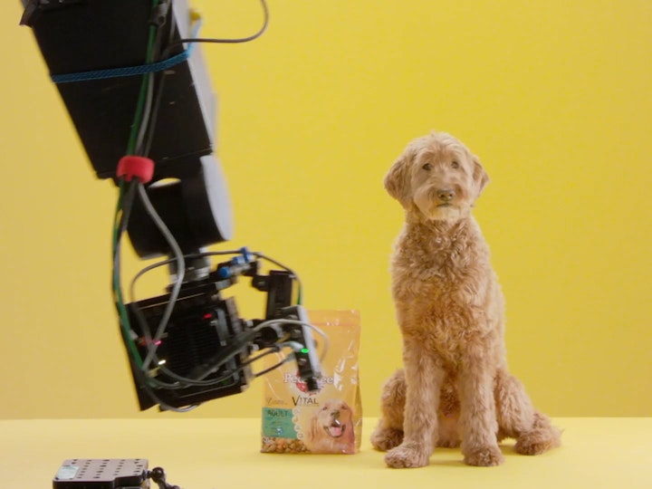 Skittles Behind the Scenes