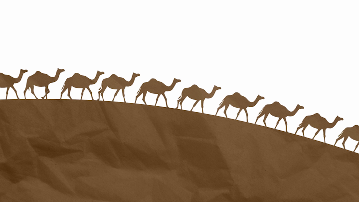 CFP-World Camel Day