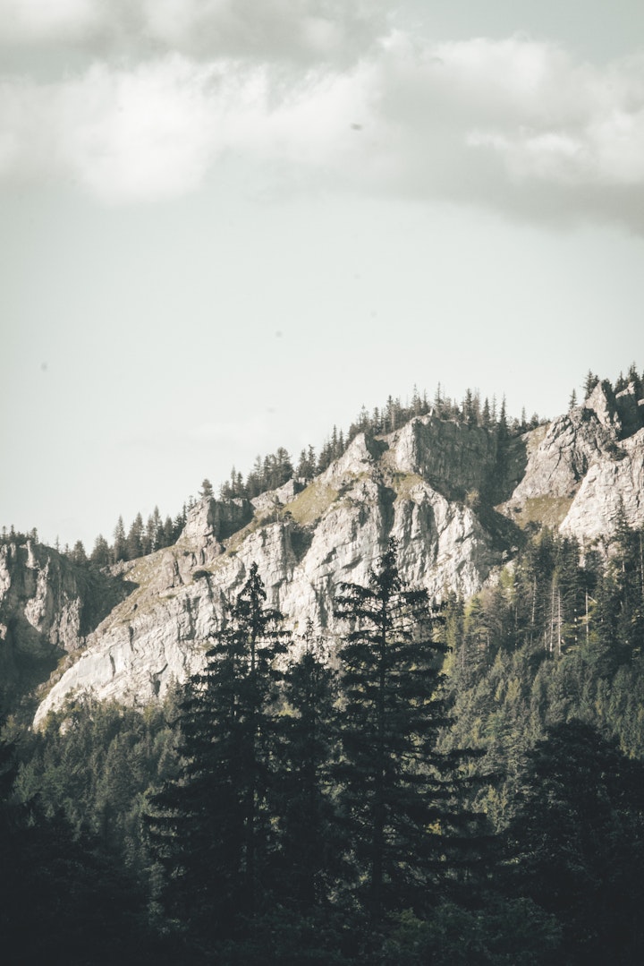 Travel