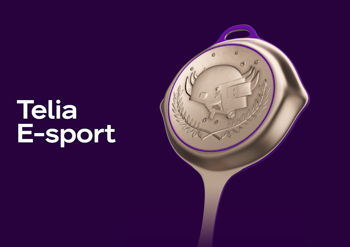 E-sports tournaments -