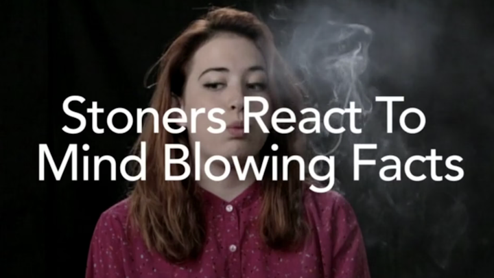 Matthew Pollock - Stoners React To Mind Blowing Facts