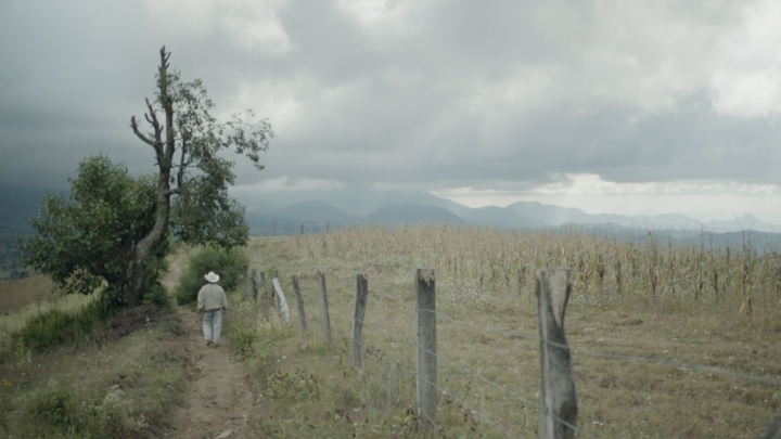 Muerte es Vida (Death is Life)