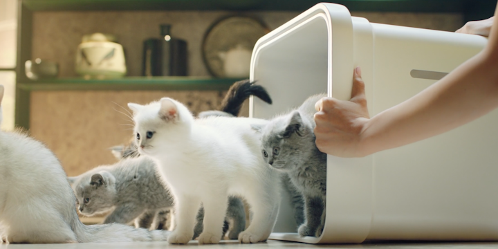 Little Kittens - Dehumidifire