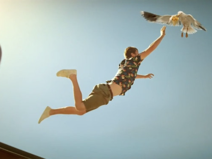 Carling ~ "Seagull"