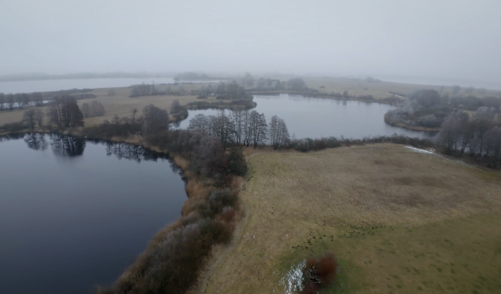 Bildschirmfoto 2025-01-14 um 20.02.21 -