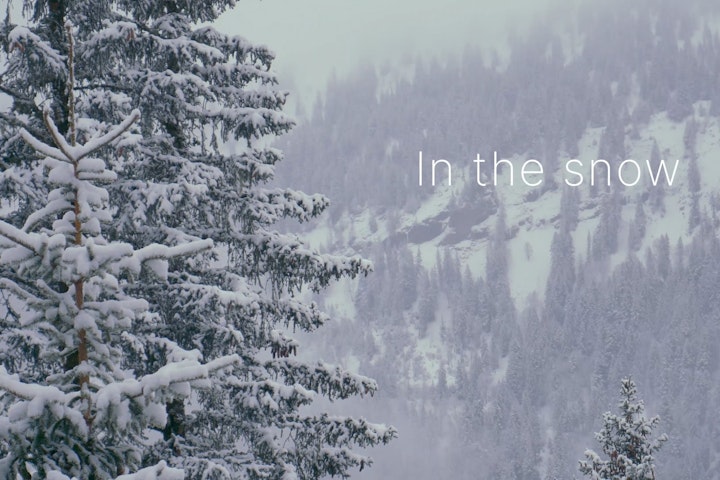 In the Snow -