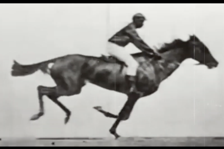 The History of Film -