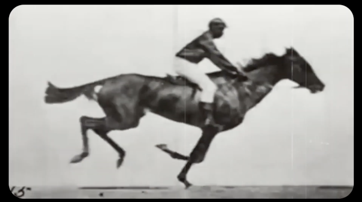 The History of Film -