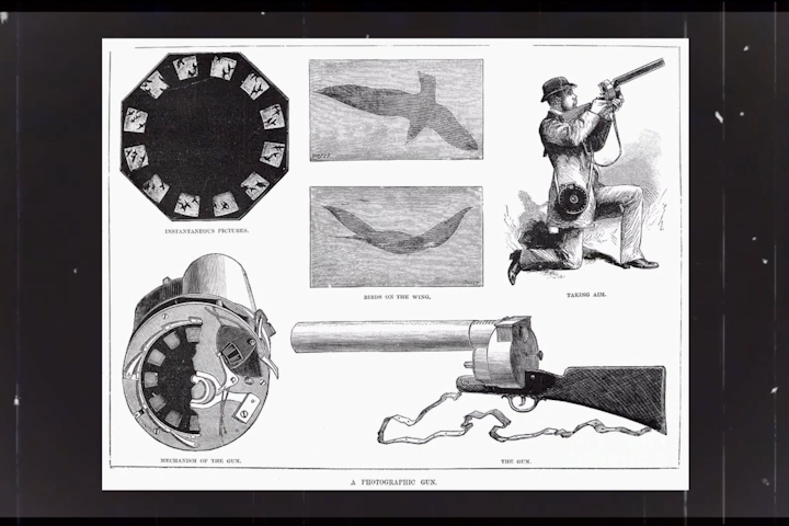 The History of Film -