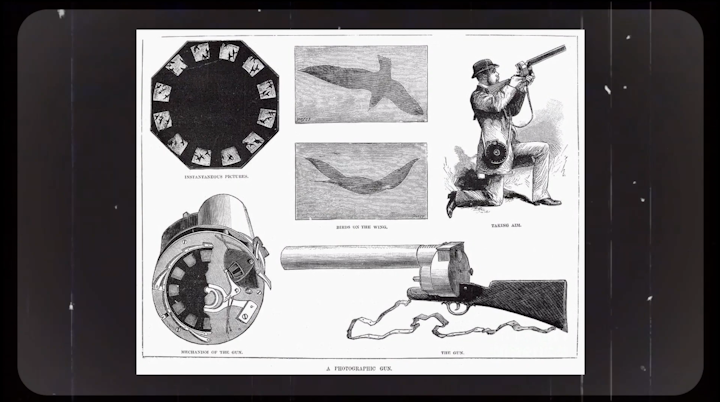 The History of Film -