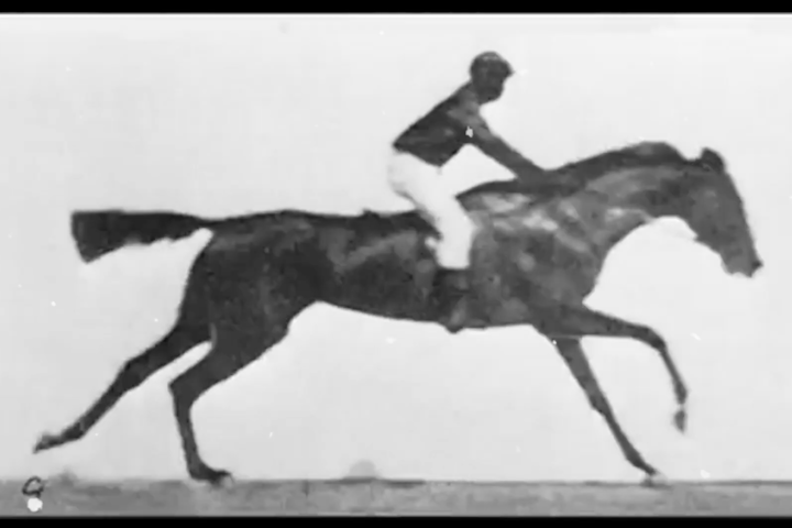 The History of Film -