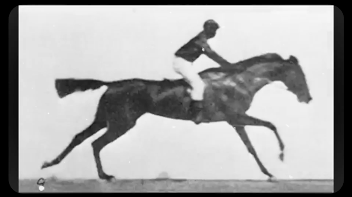 The History of Film -