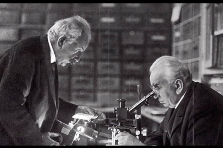 The History of Film -
