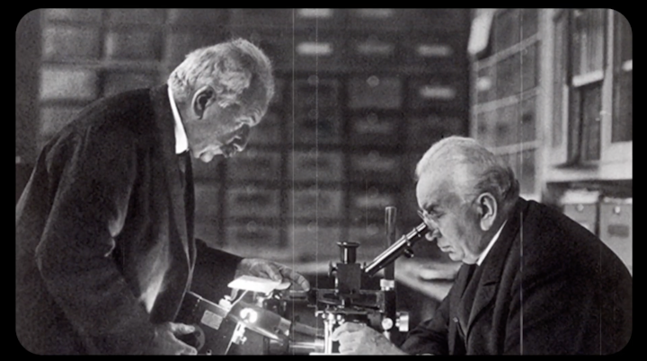 The History of Film -