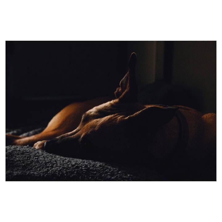 Lockdown -