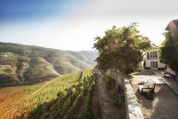 Finest Douro Wineries