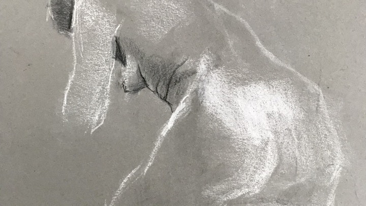 Conte crayons on gray paper 9x12