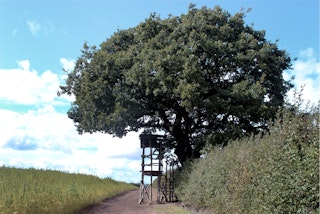 Margent Farm - Treehouse 'Special Projects'