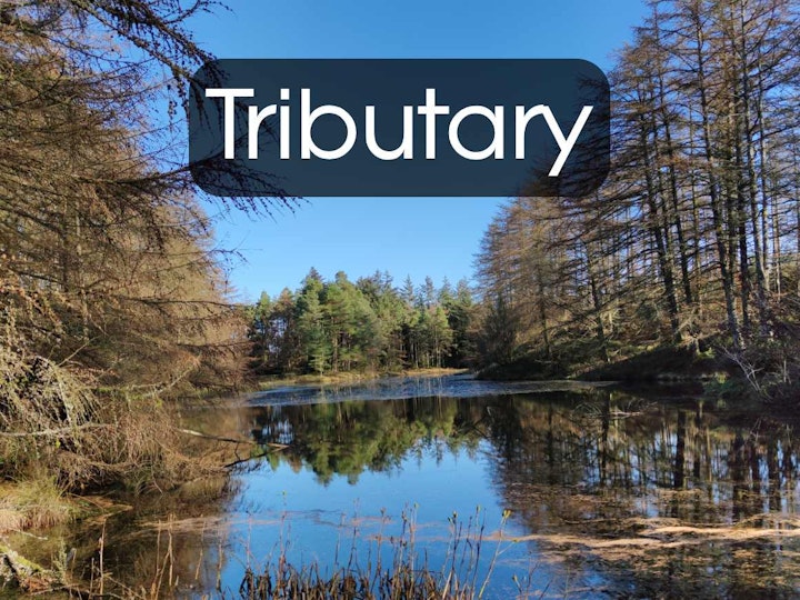 Tributary