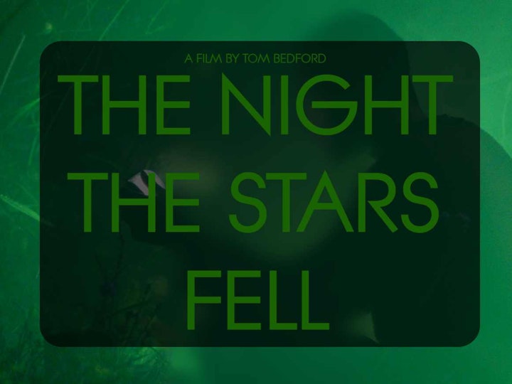 The Night the Stars Fell