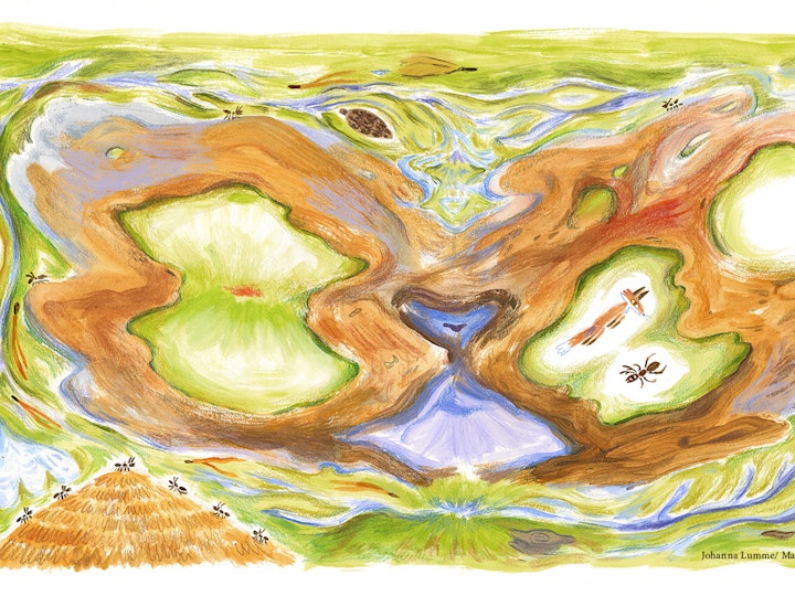 Metsän sydän, s.24-25